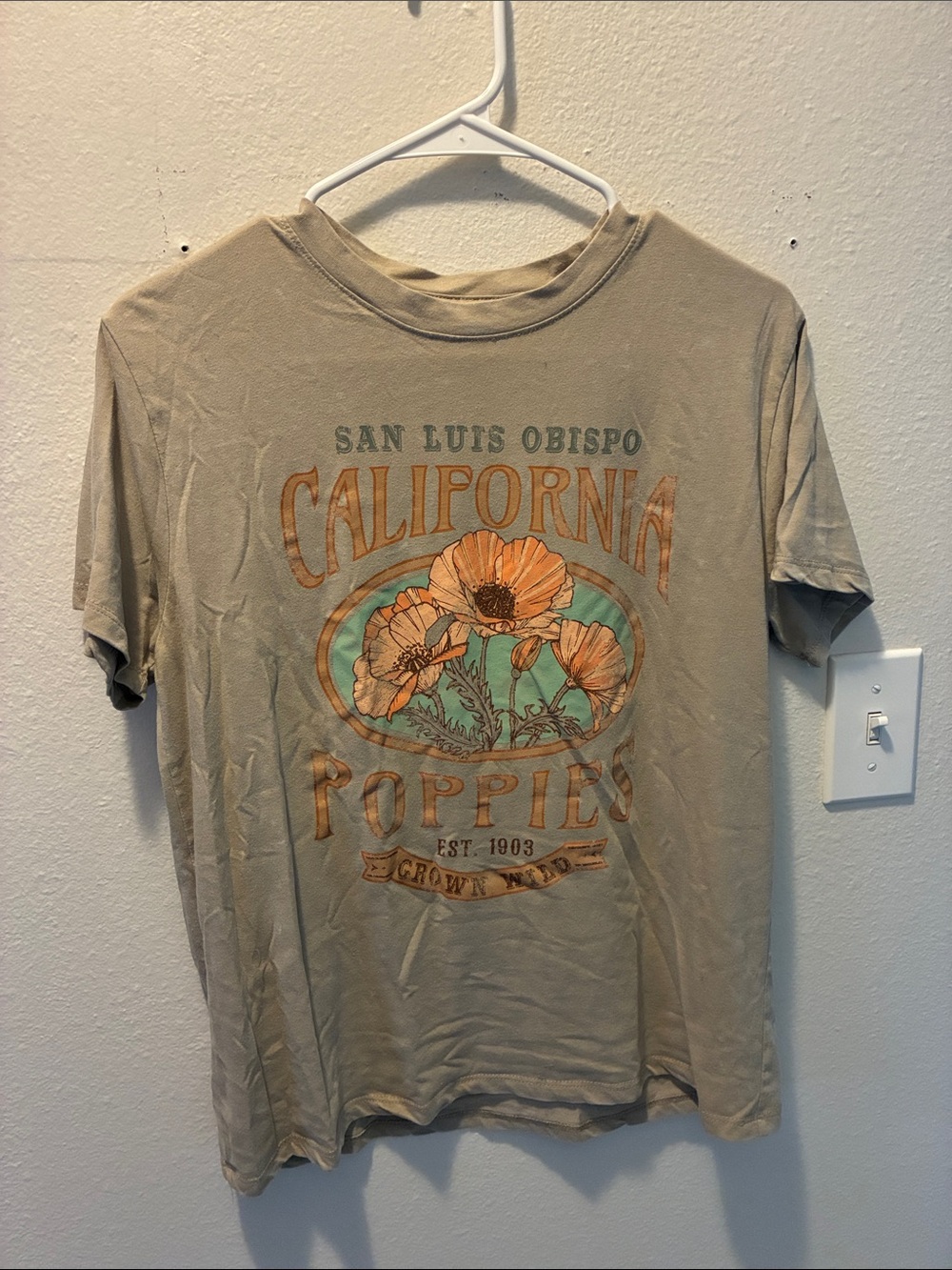California Poppies Graphic Tee - Tan